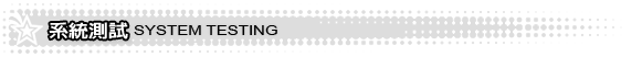 系統測試